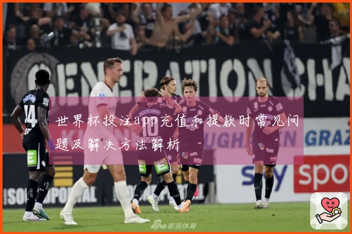 世界杯投注app充值和提款时常见问题及解决方法解析