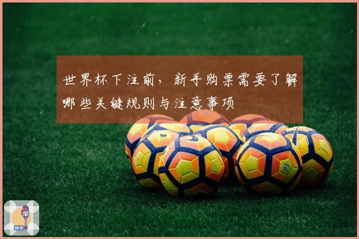 世界杯下注前，新手购票需要了解哪些关键规则与注意事项