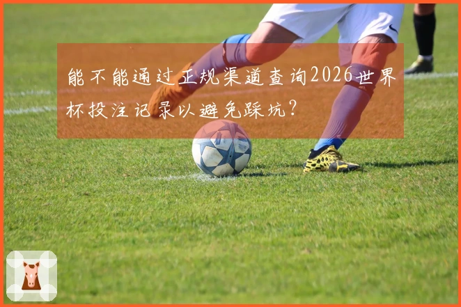 能不能通过正规渠道查询2026世界杯投注记录以避免踩坑？
