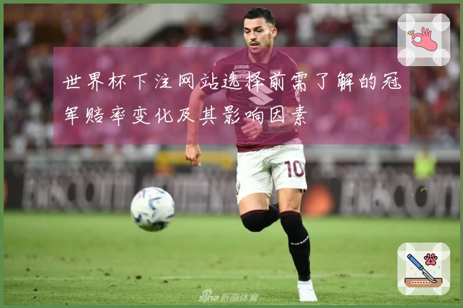 世界杯下注网站选择前需了解的冠军赔率变化及其影响因素