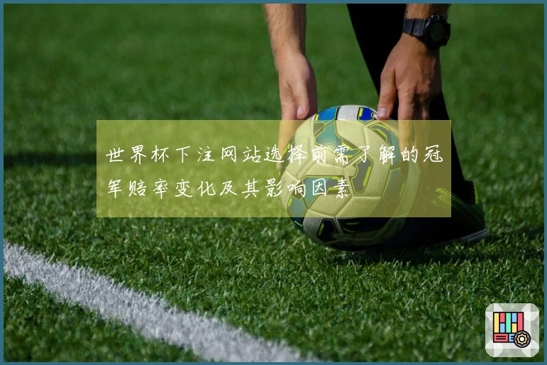 世界杯下注网站选择前需了解的冠军赔率变化及其影响因素